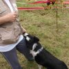 foire-haricots 2011-09-17et18